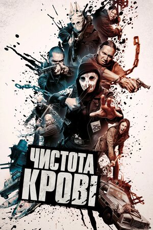 Чистота крові