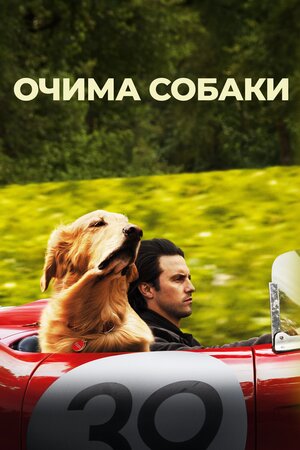 Очима собаки