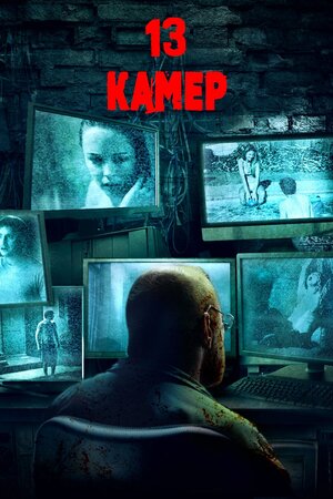 13 камер
