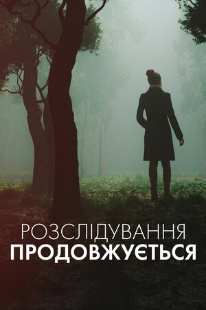 Розслідування продовжується