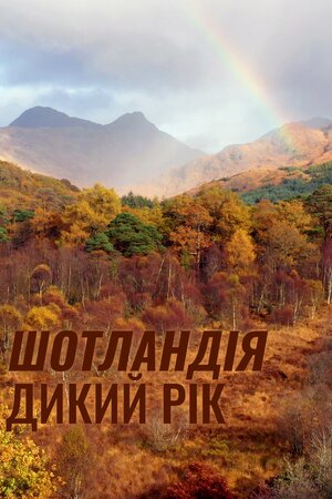 Шотландія. Дикий рік