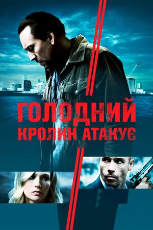 Голодний кролик атакує