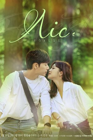 Ліс