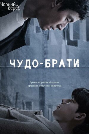 Чудо-брати