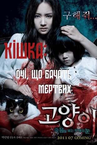 Кішка, що бачить мертвих