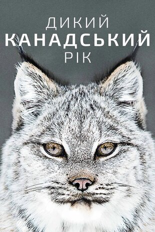 Дикий канадський рік
