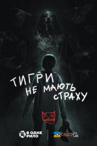 Тигри не мають страху