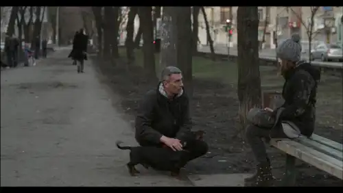 Зелена кофта постер