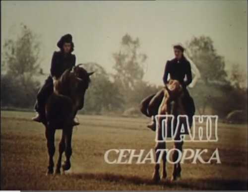 Пані сенаторка постер