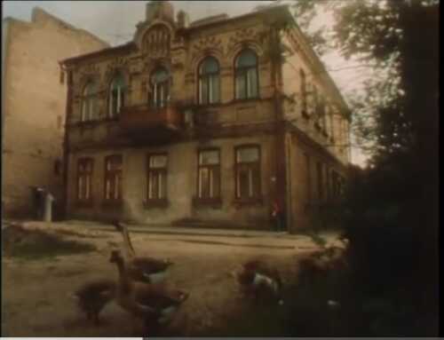 Пані сенаторка постер