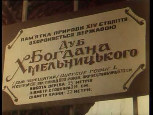 Бойки постер