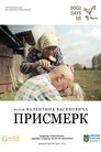 Присмерк