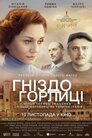 Гніздо горлиці
