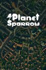 Планета горобців