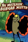 Як метелик вивчав життя