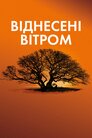 Віднесені вітром