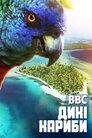 Невідомі Кариби