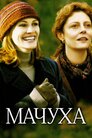 Мачуха