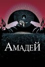 Амадей