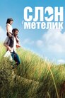 Слон і метелик