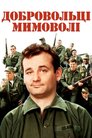 Нашивки
