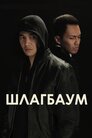 Шлагбаум