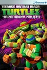 Черепашки ніндзя
