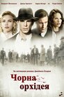 Чорна Орхідея
