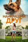 Найкращий друг
