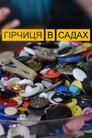 Гірчиця в садах