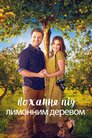 Кохання під лимонним деревом