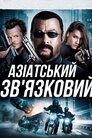 Азіатський зв'язковий