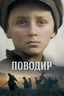 Поводир