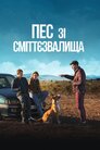 Пес зі сміттєзвалища