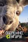 Обережно, Кенгуру!