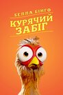 Белла Бінго. Курячий забіг
