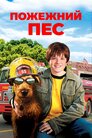 Пожежний пес