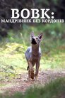 Вовк: мандрівник без кордонів