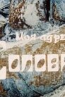 Моя адреса – Соловки