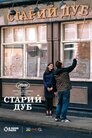 Старий дуб