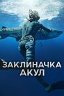 Заклиначка акул