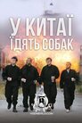 У Китаї їдять собак