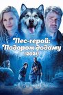 Пес-герой: Подорож додому