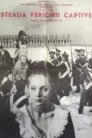 Зірка чарівного щастя