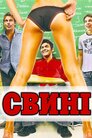 Свині