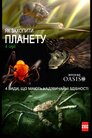 Як захопити планету