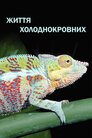Життя холоднокровних