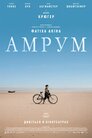 Амрум