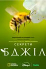 Секрети бджіл