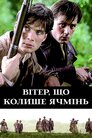 Вітер, що колише ячмінь